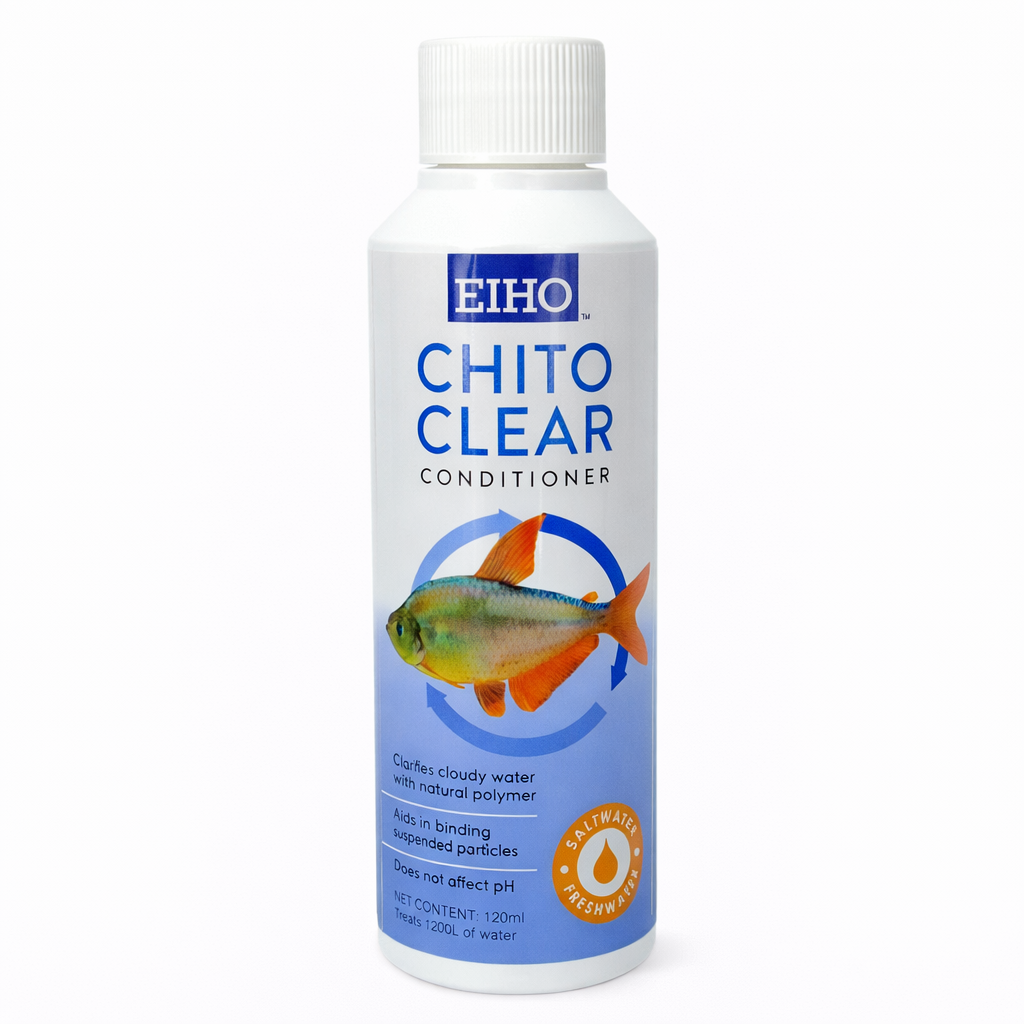 CHITO CLEAR