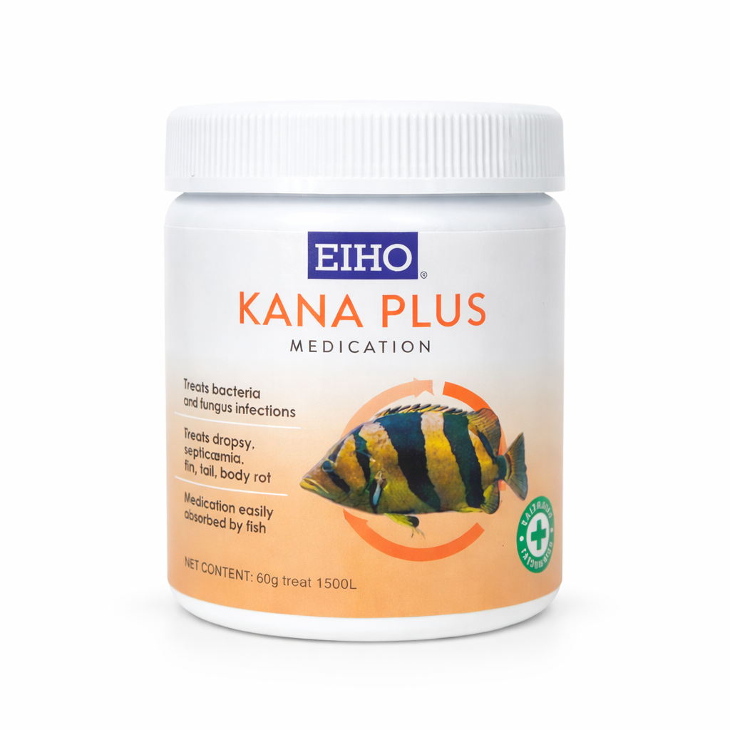 KANA PLUS